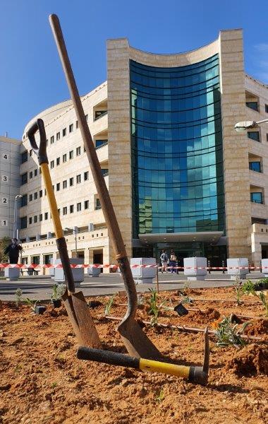 נטיעות ט"ו בשבט