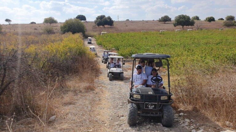 טיול סטאז'רים