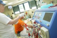 מטיילים על גלגלים