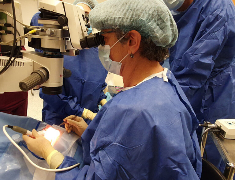 ד"ר ביאטריס טיאוסנו בעת השימוש במקדח זעיר ליצירת תעלת ניקוז קבועה של הלחץ התוך-עיני