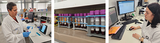 Hematology Laboratory