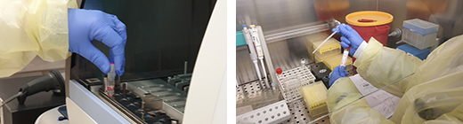 Microbiology Laboratory