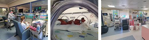 Neonatal Care Department