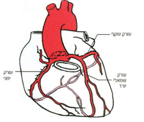 לפתוח את הלב
