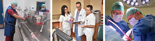 The Orthopedics A Department