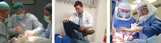 The Orthopedics B Department