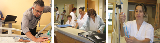 قسم الطب الباطني “ب”