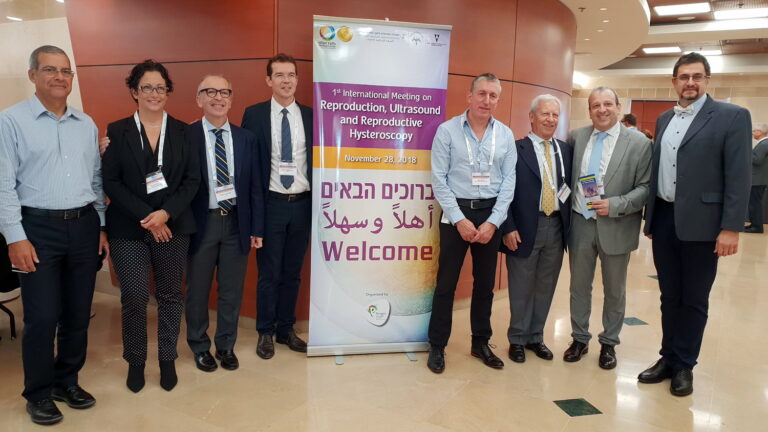 הכול אודות הרחם (וכמעט אף מילה על הביצית)