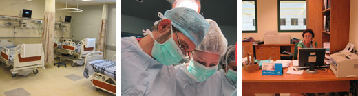 Surgery A Department