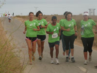 “The Finest of Test Tubes”