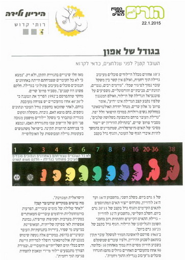 בגודל של אפון