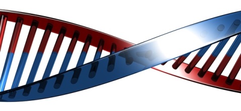 Genetic counseling: Peace of mind during pregnancy