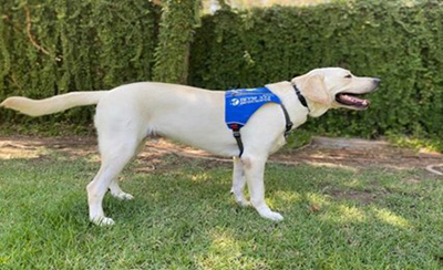 נגישות במרכז הרפואי הלל יפה