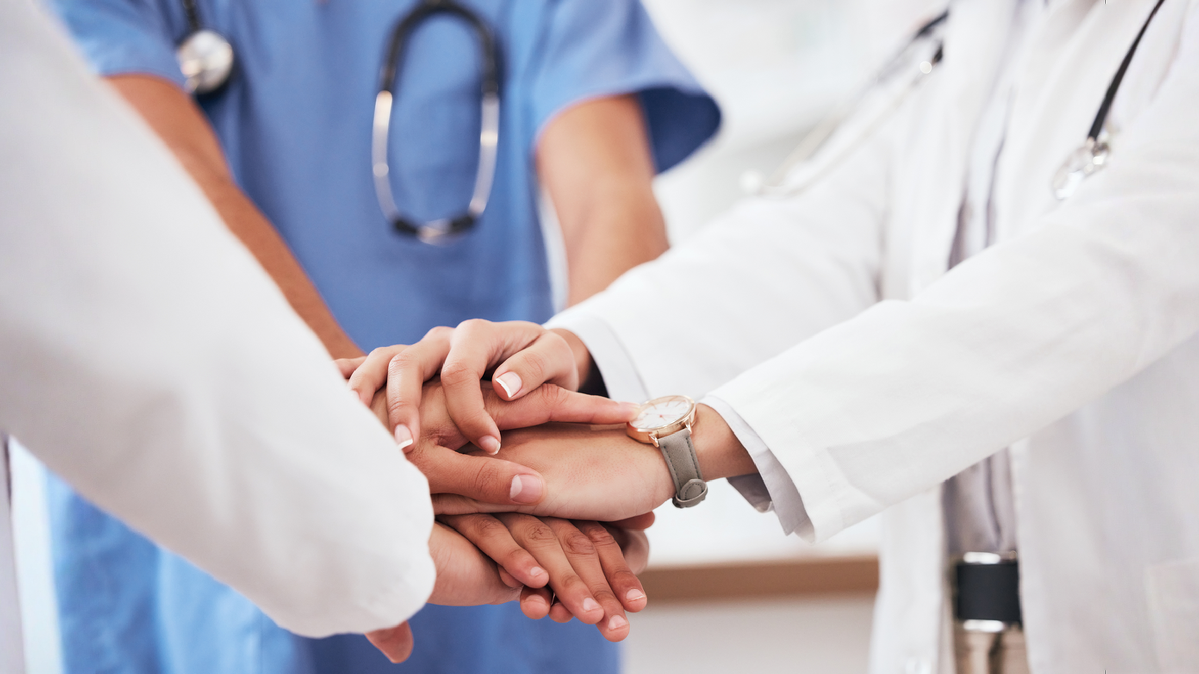 סיכום שנת 2016 בהלל יפה