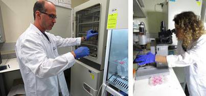 מעבדת המחקר של אגף נשים ויולדות