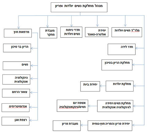 מבנה אגף נשים, יולדות ופריון