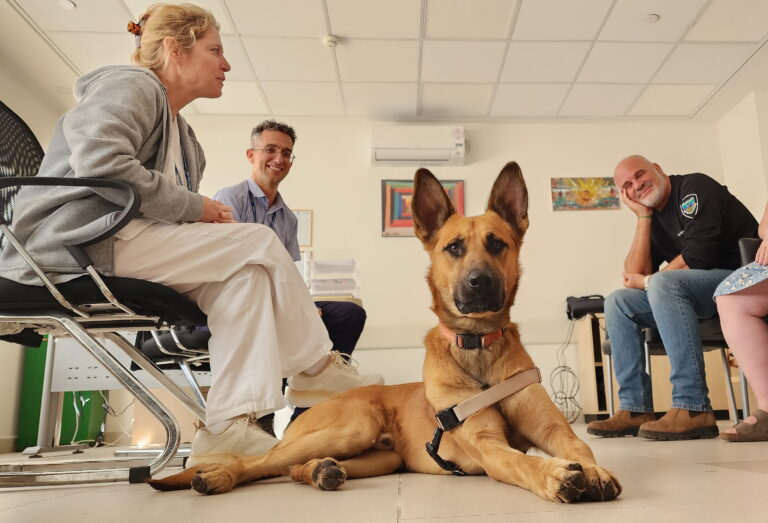 הכלב בלו בחדר טיפולים בהלל יפה יחד עם ד"ר איל תדמור, הווטרינר מכלביית עיריית חדרה, ד"ר עידן אמשלום והאחות אסנת אהרון